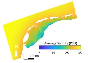 Long-term mean salinity distribution in the Dutch Wadden Sea
