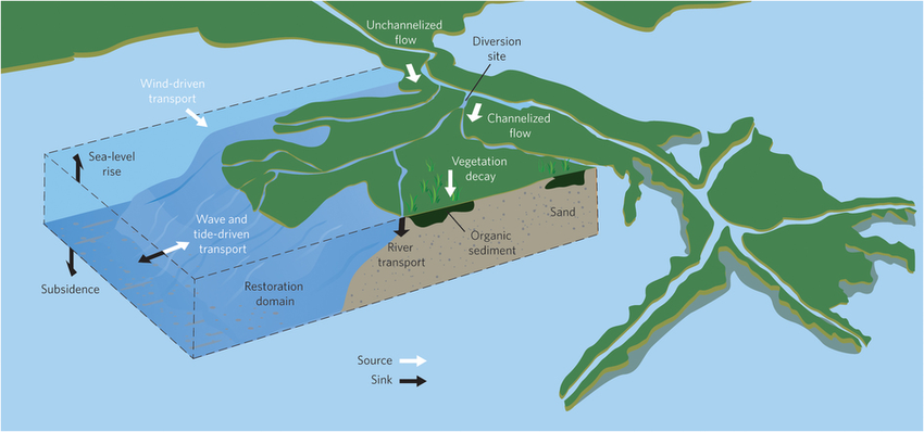 Figure 1 Land building sediment budget in a delta As illustrated here by a hypothetical