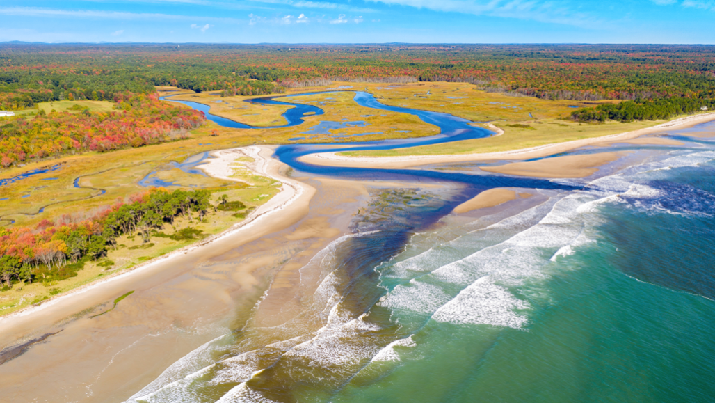 estuary-1028x579