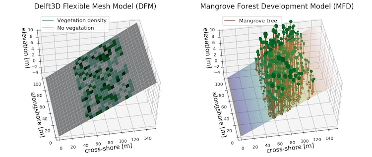 Mangrove vegetation represented