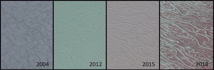 Mudflat channelization followed by vegetation expansion