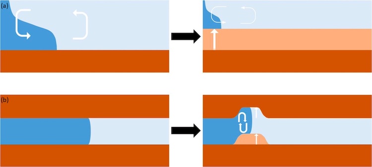 Nature-based solutions to mitigate salt intrusion