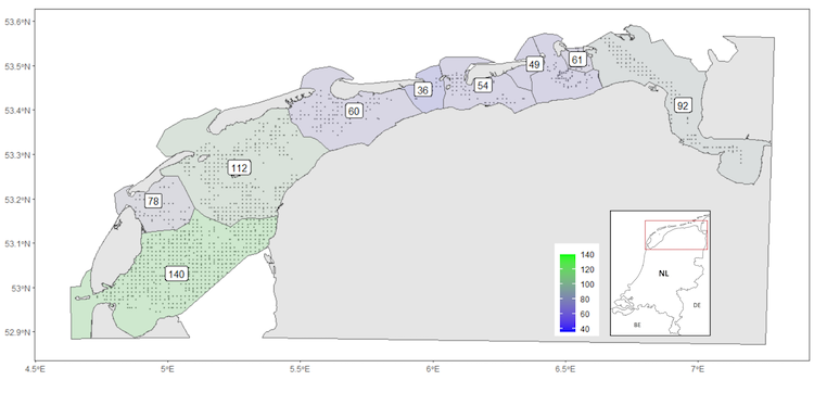 Observed species richness per tidal basin