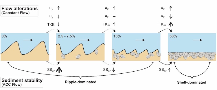 Conceptual figure showing how shells affect the hydrodynamic conditions