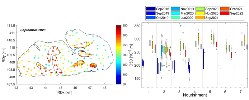 (left) Overview of the sampled median grain sizes for September 2020 (directly after nourishing) on the Roggenplaat. The contours and numbering of the nourishments and the low tide line are displayed. (right) The median grain size (D50) per sampling period per nourishment. 