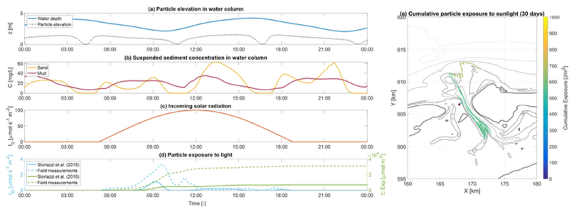 Figure 1. Sand grain exposure to sunlight quantified through relationships between suspended sediment concentration and light attenuation as a function of water depth.