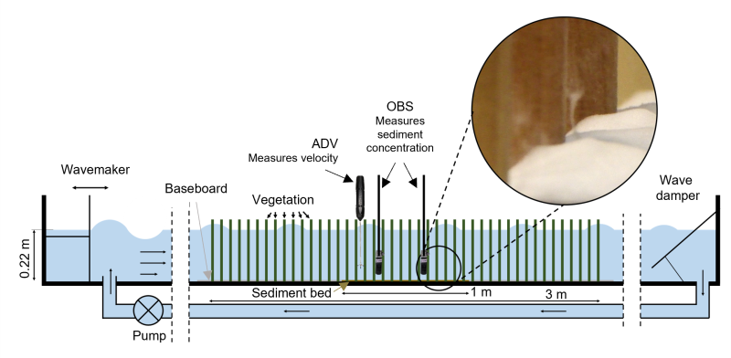 Figure 1: Sketch of the experiment setup. The enlargement shows sediment resuspension through a turbulent vortex in the wake of the vegetation. The white breaks in the figure denote stretches of empty flume. Figure not to scale.