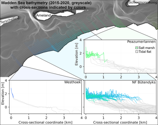 Figure 1 – (top) Bathymetry map of a section of the Friesian Wadden Sea coast, with cross-sections drawn every 500 m along the primary dike (orientation: 320°). Cross-sections containing a salt marsh are coloured, with the line becoming more transparent for the tidal flat and tidal channel. (subfigures) Elevation profiles along the cross-sections as indicated in the top figure for three salt marsh sites. Colours indicate the part of the profile categorised as salt marsh and correspond to the locations in the top figure, grey indicates tidal flat and tidal channel.