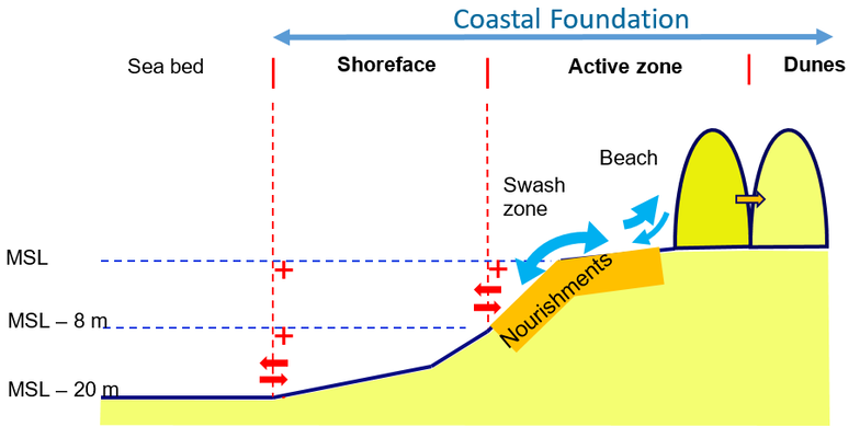 Cross-section of a coastal profile, indicating the difference between the Coastal Foundation and the Active zone, in which the nourishments spread.