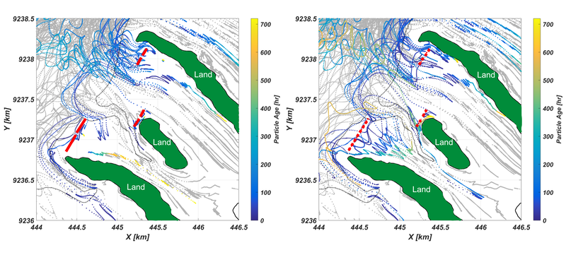 Figure 1: Sediment pathways in the presence of impermeable structures (left) and permeable dams (right). Sediment particles traversing through the area about half a kilometre behind the structures are mapped in colour according to their age (time elapsed since the particles were released), with the pathways of other sediment particles in the region in grey.
