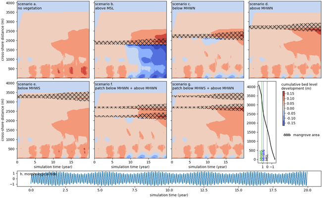Simulated alongshore averaged bed level development. Panels show the spatiotemporal cumulative bed level development in each scenario. Mangrove extent is shown as black hatches on top of the bed level graph. Panel h shows the ocean boundary with morphological spring-neap tide forcing