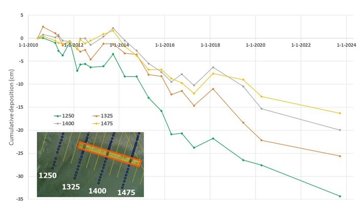 Figure 1. Cumulative deposition for four transects of the Viane (Eastern Scheldt) tidal flat with (transects 1325, 1400, 1475) and without (transect 1250) protection by an oyster reef during the period 2010 - 2023.