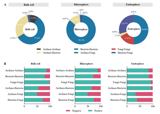 Figure 5 The proportion of correlations in the co-occurrence networks between archaea, bacteria, and fungi among the bulk soil, rhizosphere soil, and root endosphere (A), and proportion of the positive and negative interactions within each network (B).