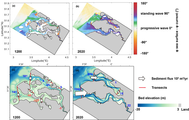 Fig 1. (a-b) The phase difference between the vertical tide (sea level) and the horizontal tide (tidal current), illustrating progressive waves (green and light blue) and standing waves (dark bule and purple). In the past, the Scheldt Estuary behaved more like a progressive wave, whereas it has now evolved into a predominantly standing-wave regime. (c-d) Sediment flux across channel transects driven by tidal flow, with arrows indicating the direction of transport. We define positive transport as landward import from the North Sea into the estuary or transport from the Western Scheldt toward the Eastern Scheldt.