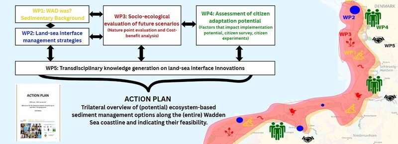 Overview of the different work packages