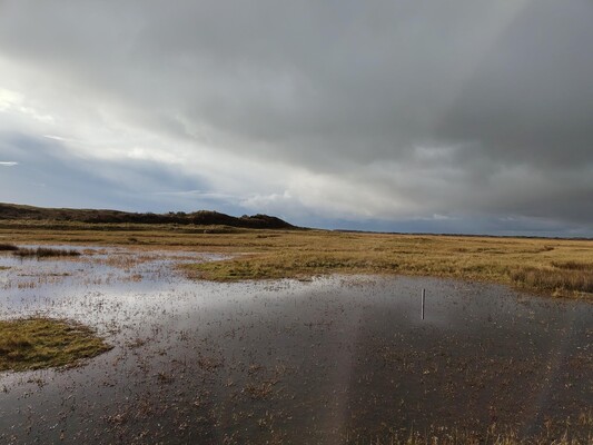 Sedimentation-erosion measurements in Slufter