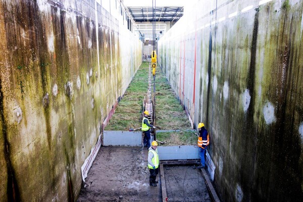 Figure. Construction and transplantation of the salt marsh in the Delta Flume (Deltares, Delft).