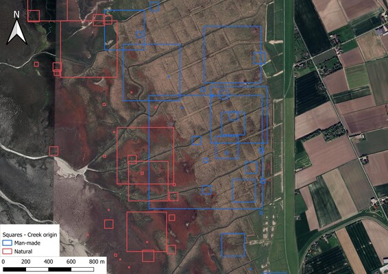 Figure 1. Example photograph of randomly placed squares of different sizes. Squares of the same size did not overlap. Color indicates creek origin.