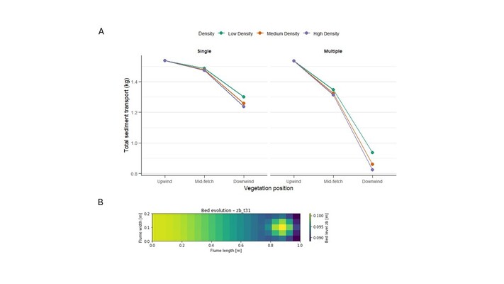 A) Plot illustrating the total sediment transported (in kilograms) after a 15-minute run, using a small-scale AeoLiS model, showing that plant position has a greater influence on sediment transport than vegetation density.  B) Example of multiple plants placed downwind, resulting in a distinct sediment hummock near the outlet of the wind tunnel.