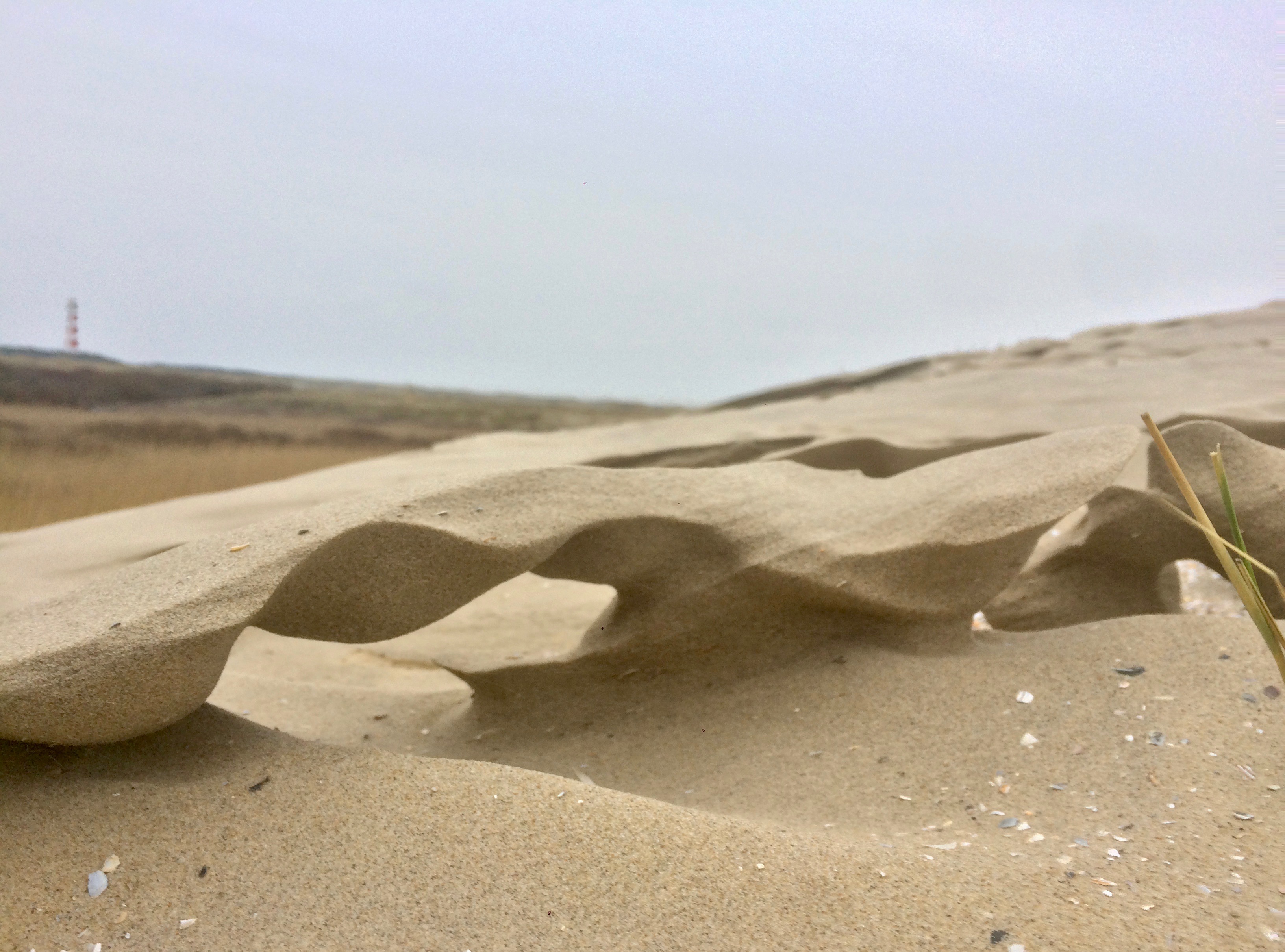 1st place Quirijn Lodder Sand bridge