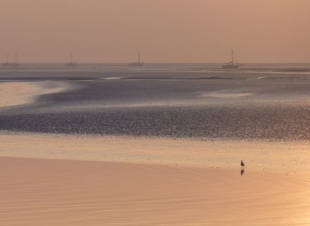 themadag-waddenzee20141010