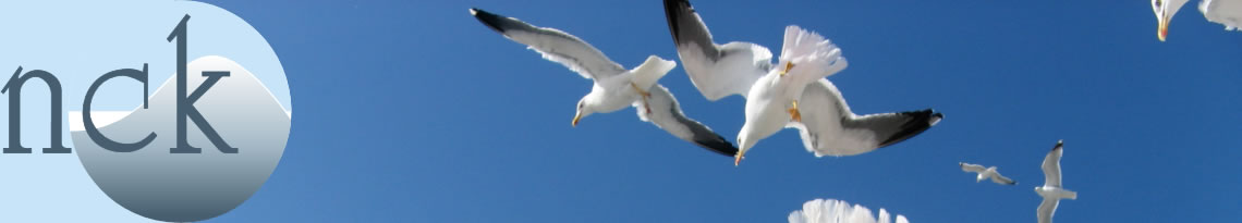 Banner_Seagulls_new.jpg