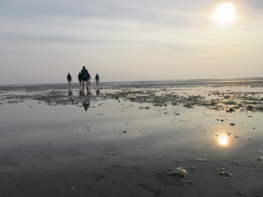 IMG-20240702-WA0001